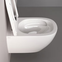 Подвесной унитаз AM.PM Above Aquaspin C9X1900SC с сиденьем — 11