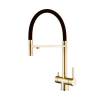 Смеситель для кухни ZorG ASGARD PREMIUM PVD Gold — 1