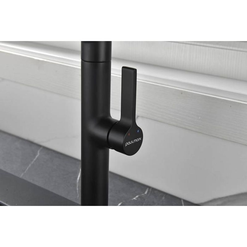 Смеситель для кухни Paulmark Barrel Ba214029-AN антрацит