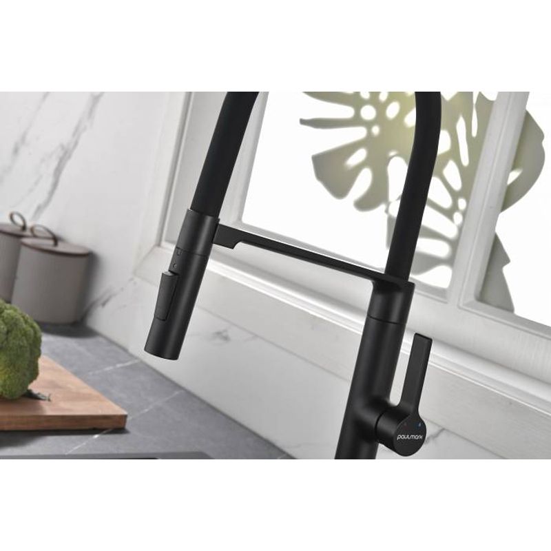 Смеситель для кухни Paulmark Barrel Ba214029-AN антрацит