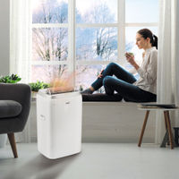 Кондиционер мобильный Ballu Platinum Comfort BPHS-08H — 8