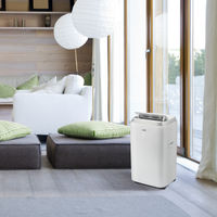 Кондиционер мобильный Ballu Platinum Comfort BPHS-15H — 9