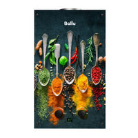 Газовая колонка Ballu GWH 10 Fiery Glass Curry — 2