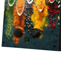 Газовая колонка Ballu GWH 10 Fiery Glass Curry — 6