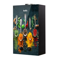 Газовая колонка Ballu GWH 10 Fiery Glass Curry — 1
