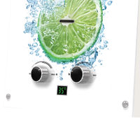Газовая колонка Ballu GWH 10 Fiery Glass Lime — 6