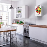 Газовая колонка Ballu GWH 10 Fiery Glass Pasta — 15