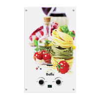 Газовая колонка Ballu GWH 10 Fiery Glass Pasta — 2