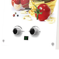 Газовая колонка Ballu GWH 10 Fiery Glass Pasta — 6