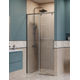 Душевая дверь BelBagno SOFT_CLOSE-1-BF-1-100-C-GM