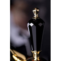 Смеситель для душа BOHEME Tradizionale Nero 254 золото — 2