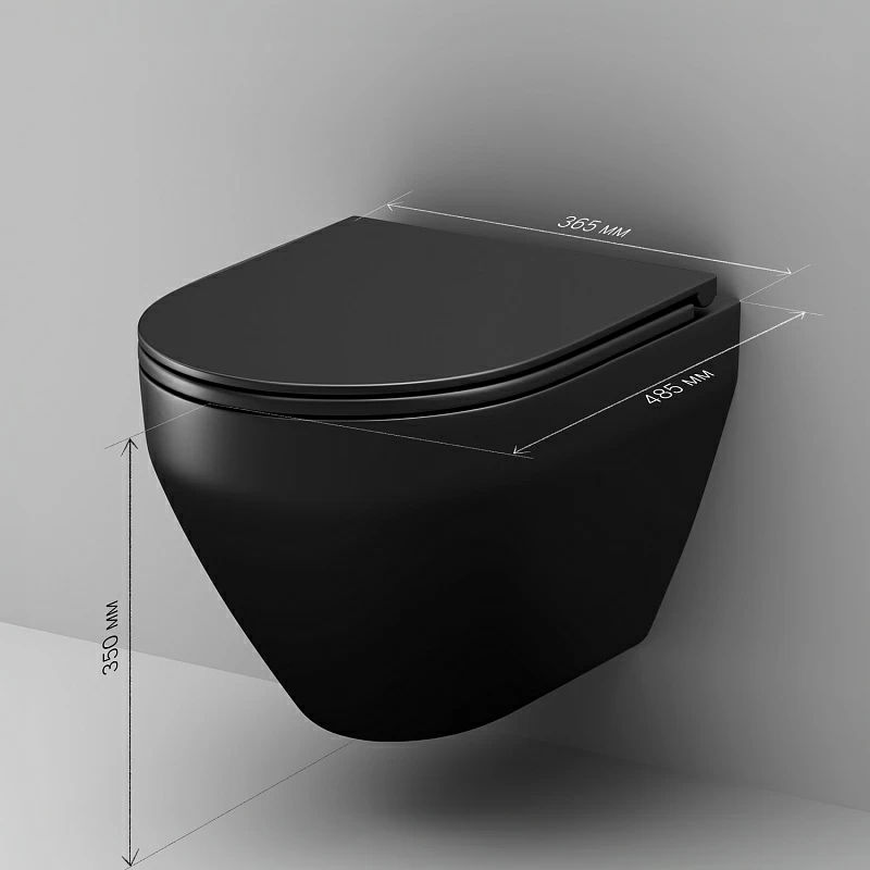 Унитаз подвесной AM.PM Spirit V2.0 C701700MBSC черный мат.