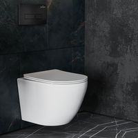 Кнопка смыва Roxen Caspia 410280B — 6