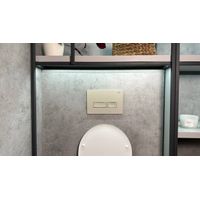 Кнопка смыва Roxen Caspia 410280BG — 5