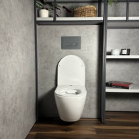 Кнопка смыва Roxen Caspia 410280DG — 3