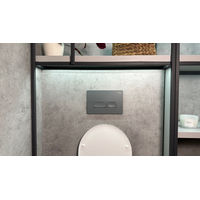 Кнопка смыва Roxen Caspia 410280DG — 5