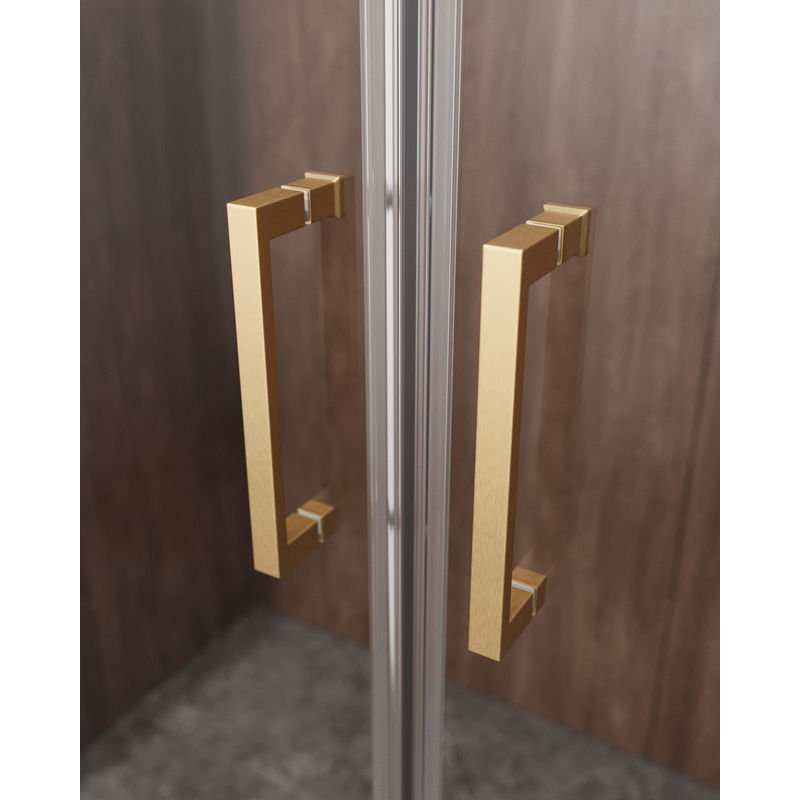 Душевая дверь CEZARES MOLVENO-BF-2-170-C-BORO-IV