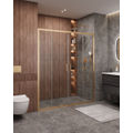 Душевая дверь CEZARES MOLVENO-BF-2-170-C-BORO-IV