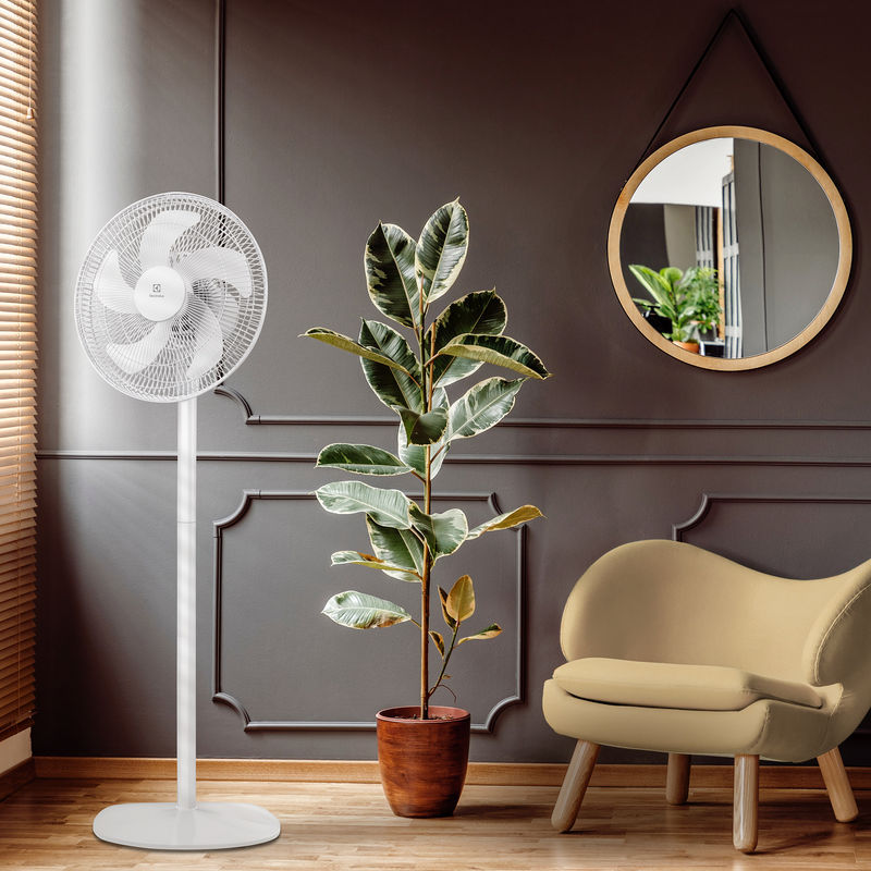 Вентилятор осевой Electrolux EFF-1005 напольный