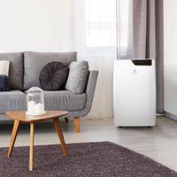 Кондиционер мобильный Electrolux Bliss Art EACM-12 GT/N6 — 11