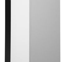 Каминокомплект Electrolux (очаг Electrolux Infinity EFP/P-1600ULS N, портал Canto Long) белый, черный — 6