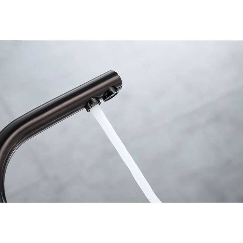 Смеситель для кухни Paulmark Essen Es213211-GM вороненая сталь