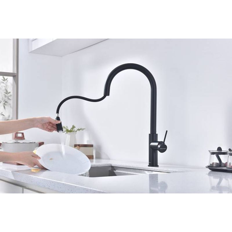 Смеситель для кухни Paulmark Galant Ga213077-AN антрацит