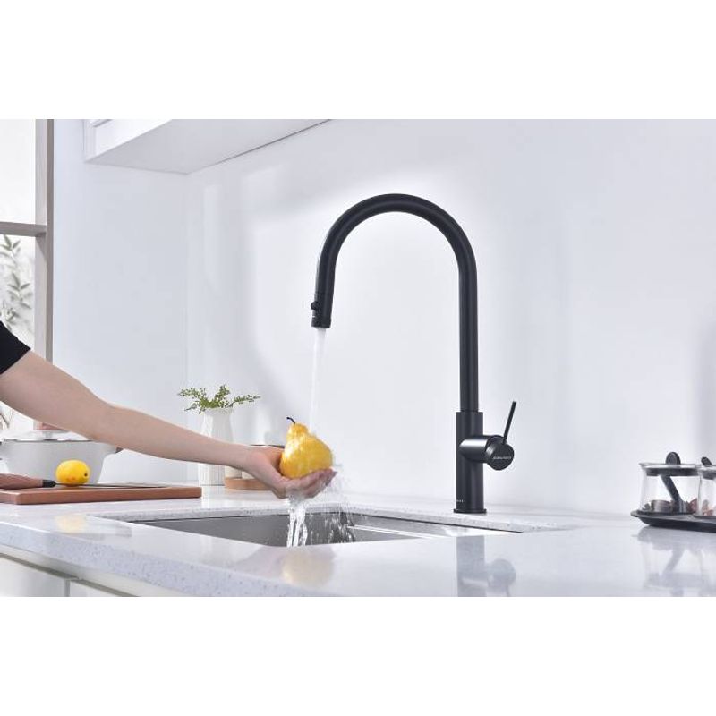 Смеситель для кухни Paulmark Galant Ga213077-AN антрацит