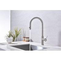 Смеситель для кухни Paulmark Galant Ga213077-BS брашированная сталь — 4