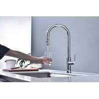 Смеситель для кухни Paulmark Galant Ga213077-CR хром — 5