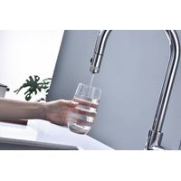 Смеситель для кухни Paulmark Galant Ga213077-CR хром — 11