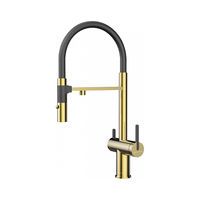 Смеситель для кухни Paulmark Gravity Gr213188-G золото — 1