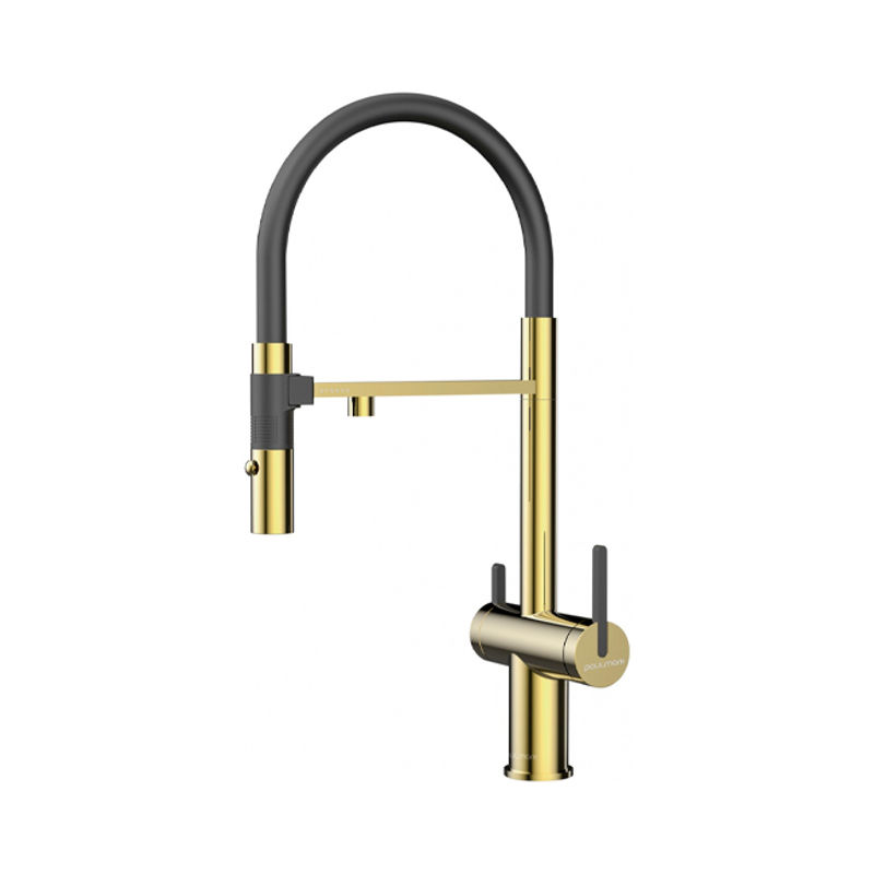 Смеситель для кухни Paulmark Gravity Gr213188-G золото