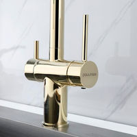 Смеситель для кухни Paulmark Gravity Gr213188-G золото — 2