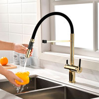 Смеситель для кухни Paulmark Gravity Gr213188-G золото — 12