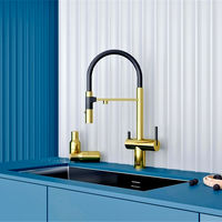 Смеситель для кухни Paulmark Gravity Gr213188-G золото — 9