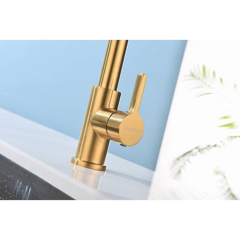 Смеситель для кухни Paulmark Halt Ha214021-BG брашированное золото