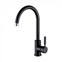 Смеситель для кухни Paulmark Holstein Ho212063-418 (BLM) черный металлик — 1