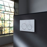 Кнопка смыва AM.PM PrimeFit L I090151 пластик хром глянцевый — 2