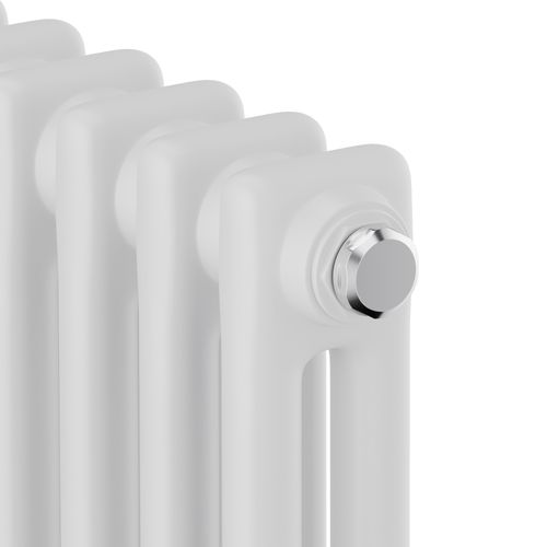 Радиатор стальной Royal Thermo Insignia C2180 - 06 секц. RAL9016