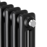 Радиатор стальной Royal Thermo Insignia C2180 - 14 секц. RAL9005m — 3