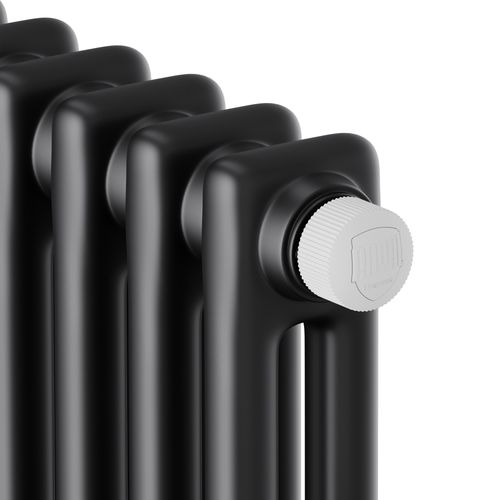 Радиатор стальной Royal Thermo Insignia VC2180 - 06 секц. RAL9005m