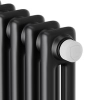 Радиатор стальной Royal Thermo Insignia VC2180 - 12 секц. RAL9005m — 3