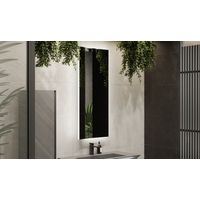 Зеркало Jorno Incline 53 со створкой / Inc.02.53/P/А/JR (антрацит) — 2