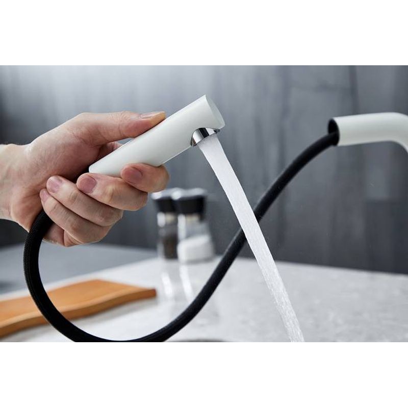 Смеситель для кухни Paulmark Kassel Ka214311-431TW белый матовый