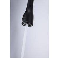 Смеситель для кухни Paulmark Lange La214212-401(AN) антрацит — 8
