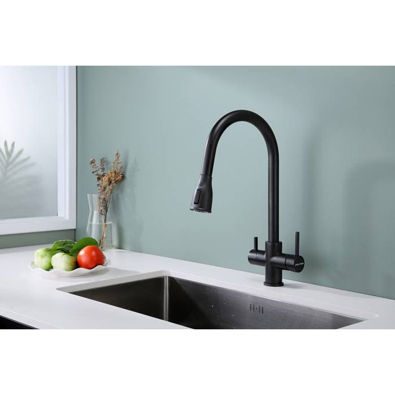 Смеситель для кухни Paulmark Lange La214212-418(BLM) черный металлик