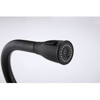 Смеситель для кухни Paulmark Lange La214212-418(BLM) черный металлик — 11