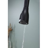 Смеситель для кухни Paulmark Lange La214212-418(BLM) черный металлик — 10