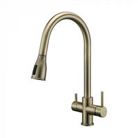 Смеситель для кухни Paulmark Lange La214212-BR бронза — 1